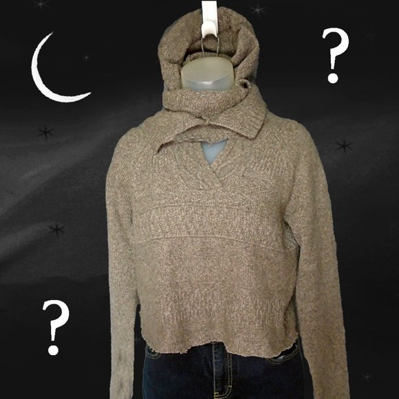 Hoodie, Cropped One of a Kind Sweater...Wait....What IS This? - Picture 1 of 11